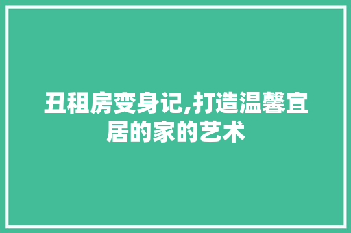 丑租房变身记,打造温馨宜居的家的艺术