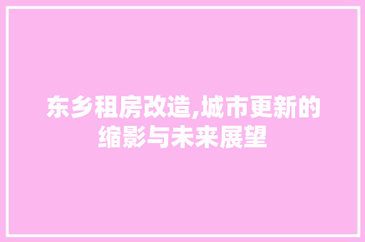 东乡租房改造,城市更新的缩影与未来展望