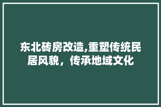 东北砖房改造,重塑传统民居风貌，传承地域文化
