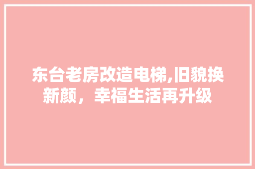 东台老房改造电梯,旧貌换新颜，幸福生活再升级