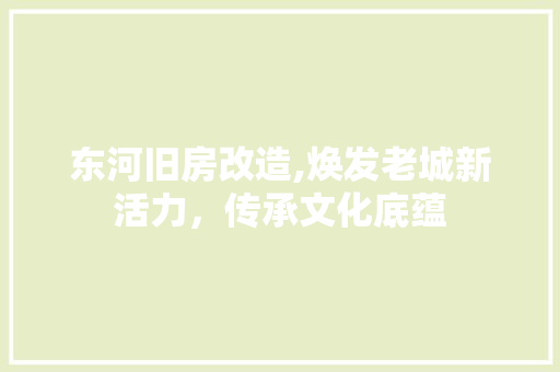 东河旧房改造,焕发老城新活力，传承文化底蕴