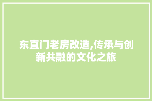 东直门老房改造,传承与创新共融的文化之旅