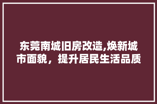 东莞南城旧房改造,焕新城市面貌，提升居民生活品质 滑动门