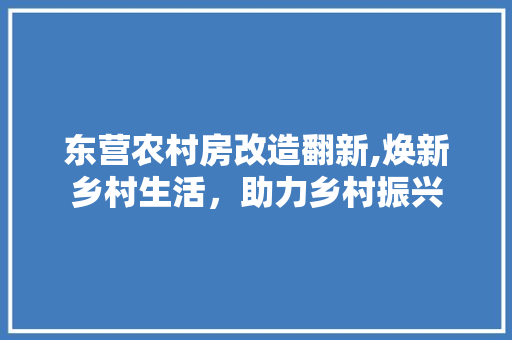 东营农村房改造翻新,焕新乡村生活，助力乡村振兴