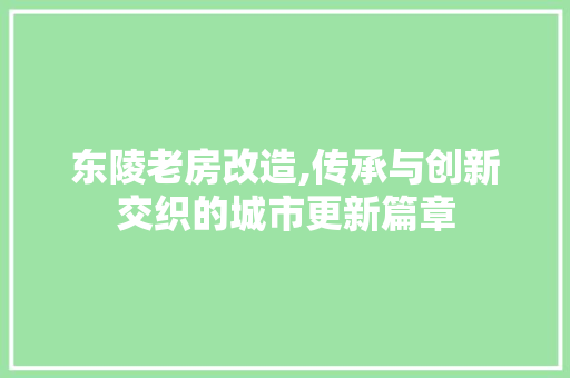 东陵老房改造,传承与创新交织的城市更新篇章