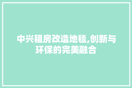 中兴租房改造地毯,创新与环保的完美融合