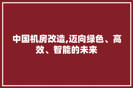 中国机房改造,迈向绿色、高效、智能的未来