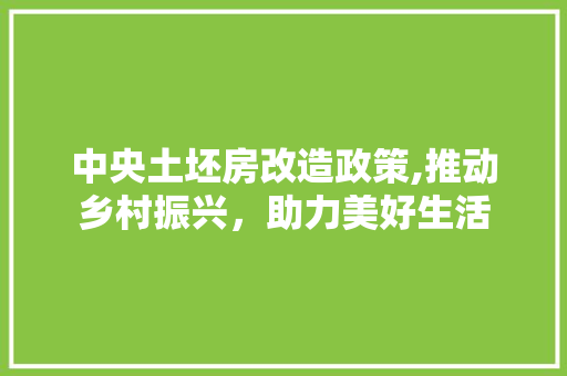 中央土坯房改造政策,推动乡村振兴，助力美好生活