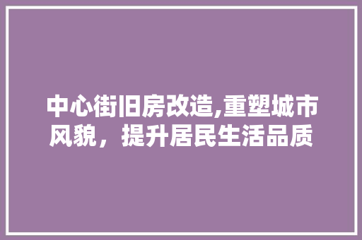 中心街旧房改造,重塑城市风貌，提升居民生活品质