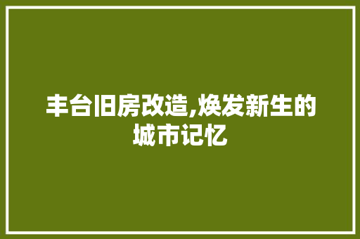 丰台旧房改造,焕发新生的城市记忆