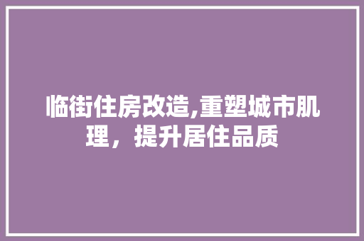 临街住房改造,重塑城市肌理，提升居住品质