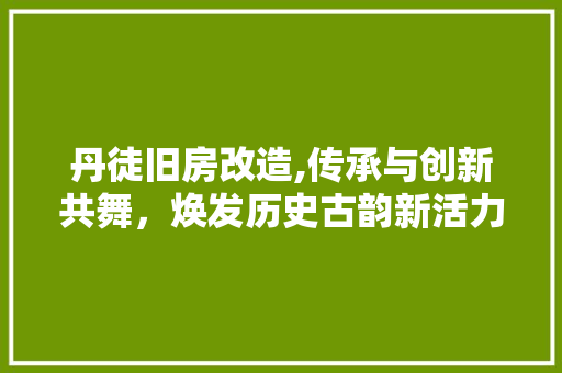 丹徒旧房改造,传承与创新共舞，焕发历史古韵新活力