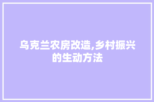 乌克兰农房改造,乡村振兴的生动方法