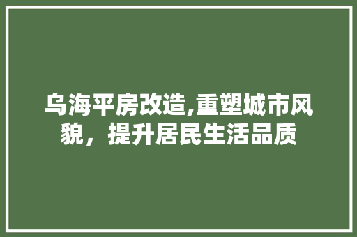乌海平房改造,重塑城市风貌，提升居民生活品质