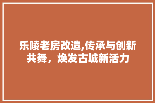 乐陵老房改造,传承与创新共舞，焕发古城新活力