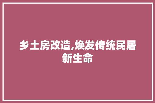 乡土房改造,焕发传统民居新生命