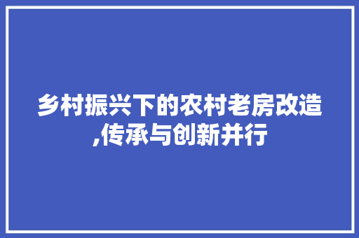 乡村振兴下的农村老房改造,传承与创新并行