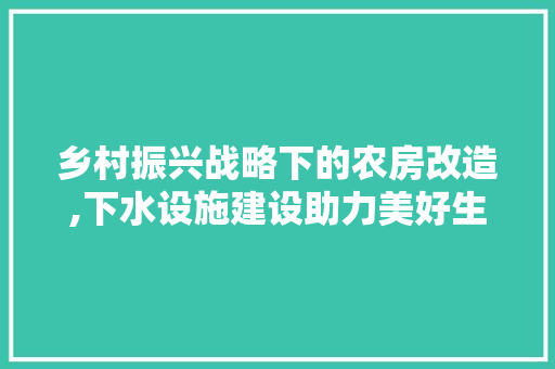 乡村振兴战略下的农房改造,下水设施建设助力美好生活
