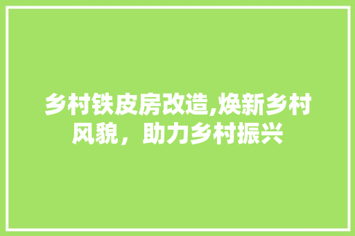 乡村铁皮房改造,焕新乡村风貌，助力乡村振兴