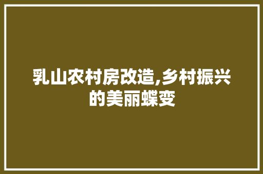 乳山农村房改造,乡村振兴的美丽蝶变