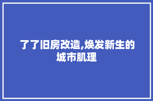 了了旧房改造,焕发新生的城市肌理