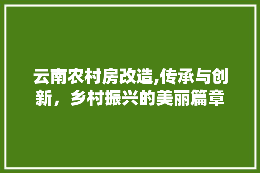 云南农村房改造,传承与创新，乡村振兴的美丽篇章