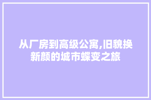 从厂房到高级公寓,旧貌换新颜的城市蝶变之旅