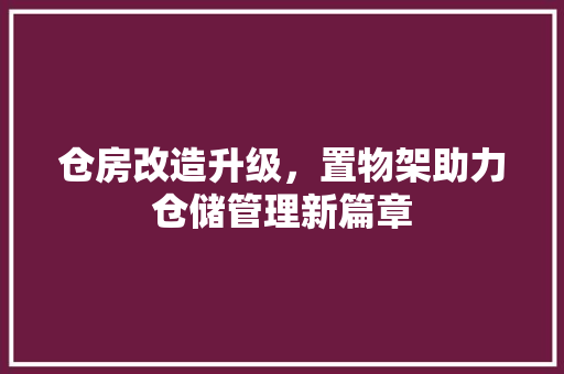 仓房改造升级，置物架助力仓储管理新篇章