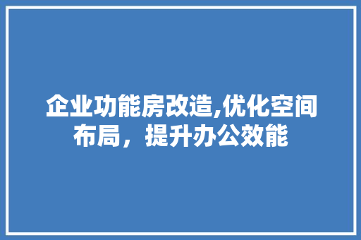 企业功能房改造,优化空间布局，提升办公效能