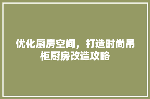 优化厨房空间，打造时尚吊柜厨房改造攻略