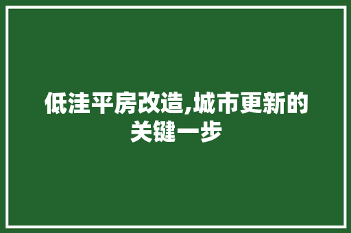 低洼平房改造,城市更新的关键一步