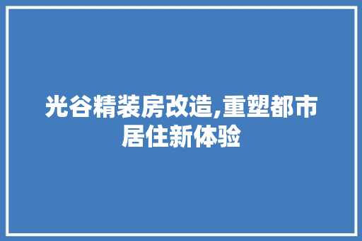 光谷精装房改造,重塑都市居住新体验