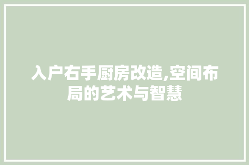 入户右手厨房改造,空间布局的艺术与智慧