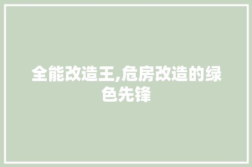 全能改造王,危房改造的绿色先锋