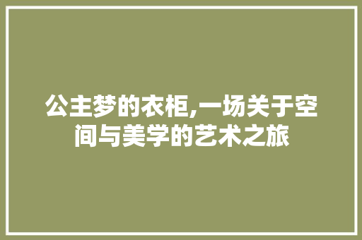 公主梦的衣柜,一场关于空间与美学的艺术之旅