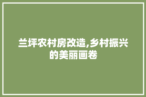 兰坪农村房改造,乡村振兴的美丽画卷