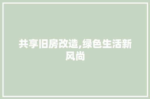 共享旧房改造,绿色生活新风尚