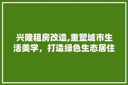 兴隆租房改造,重塑城市生活美学，打造绿色生态居住空间