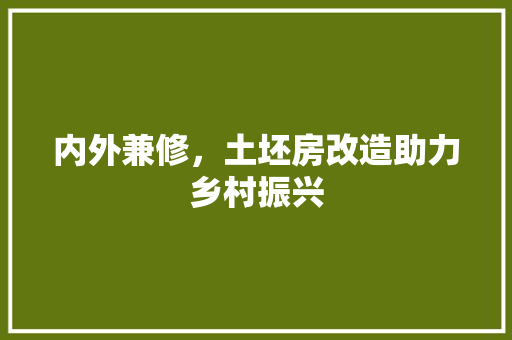 内外兼修，土坯房改造助力乡村振兴