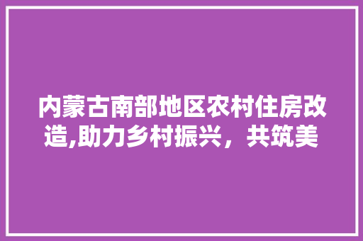 内蒙古南部地区农村住房改造,助力乡村振兴，共筑美好家园