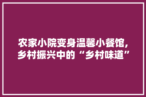 农家小院变身温馨小餐馆,乡村振兴中的“乡村味道”新篇章