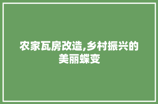 农家瓦房改造,乡村振兴的美丽蝶变