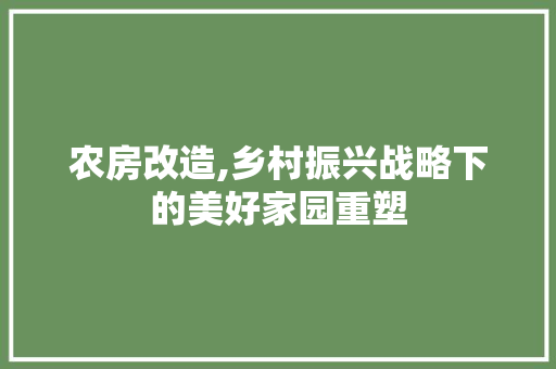 农房改造,乡村振兴战略下的美好家园重塑