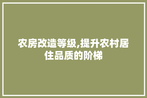 农房改造等级,提升农村居住品质的阶梯