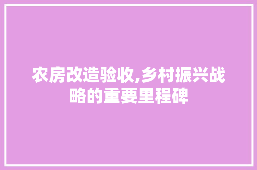 农房改造验收,乡村振兴战略的重要里程碑