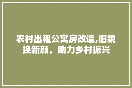 农村出租公寓房改造,旧貌换新颜，助力乡村振兴