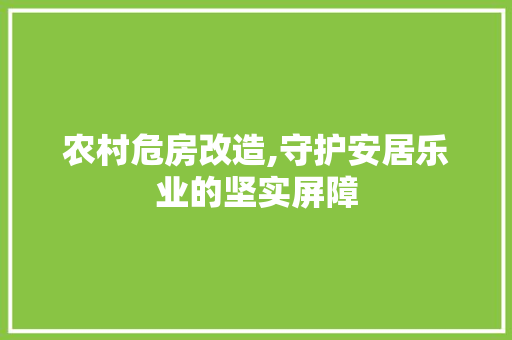 农村危房改造,守护安居乐业的坚实屏障
