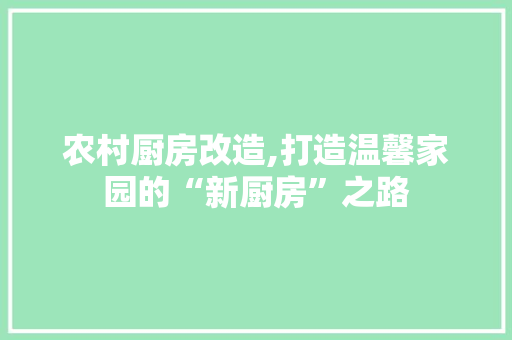农村厨房改造,打造温馨家园的“新厨房”之路