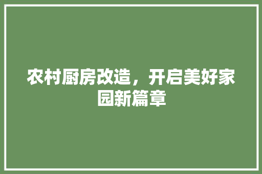 农村厨房改造，开启美好家园新篇章
