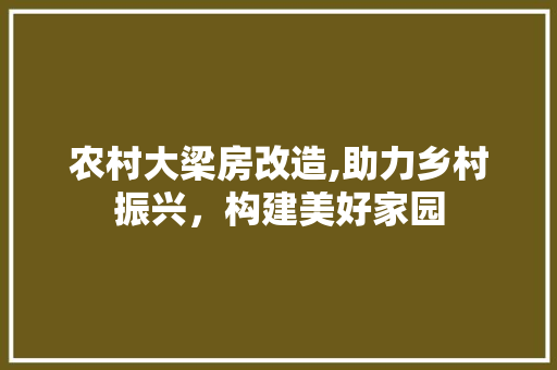 农村大梁房改造,助力乡村振兴，构建美好家园